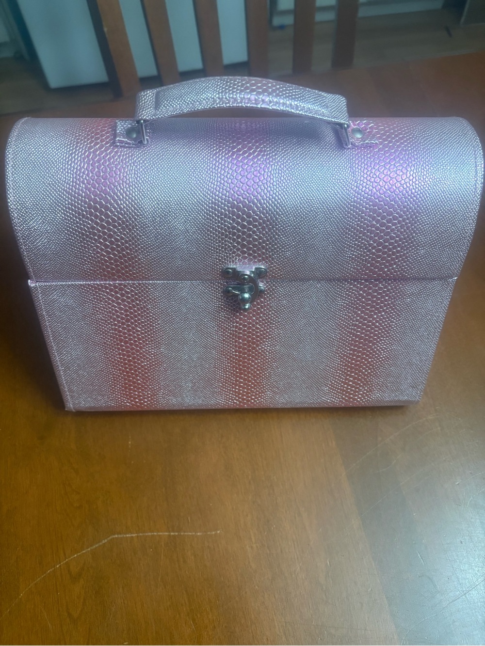 Iridescent Pink Cosmetic Train Case with Top Handle